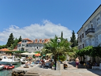 DSC 2346 ji : Bezirk Herceg Novi, Gemeinde Luštica, MNE, Montenegro, Rose