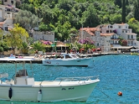 DSC 2349 ji : Bezirk Herceg Novi, Gemeinde Luštica, MNE, Montenegro, Rose