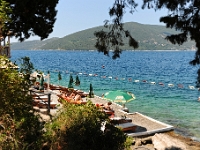 DSC 2350 ji : Bezirk Herceg Novi, Gemeinde Luštica, MNE, Montenegro, Rose