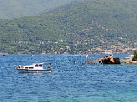 DSC 2351 ji : Bezirk Herceg Novi, Gemeinde Luštica, MNE, Montenegro, Rose