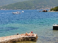 DSC 2353 ji : Bezirk Herceg Novi, Gemeinde Luštica, MNE, Montenegro, Rose