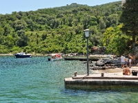 DSC 2357 ji : Bezirk Herceg Novi, Gemeinde Luštica, MNE, Montenegro, Rose