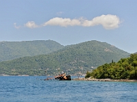 DSC 2360 ji : Bezirk Herceg Novi, Gemeinde Luštica, MNE, Montenegro, Rose
