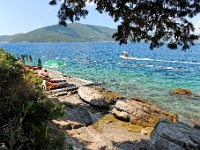 DSC 2364 ji : Bezirk Herceg Novi, Gemeinde Luštica, MNE, Montenegro, Rose
