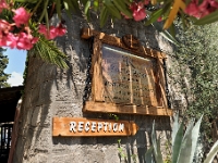 DSC 2369 ji : Bezirk Herceg Novi, Gemeinde Luštica, MNE, Montenegro, Rose