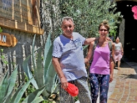 DSC 2373 ji ji : Bezirk Herceg Novi, Gemeinde Luštica, MNE, Montenegro, Rose
