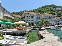 DSC 2374 ji : Bezirk Herceg Novi, Gemeinde Luštica, MNE, Montenegro, Rose