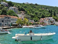 DSC 2377 ji : Bezirk Herceg Novi, Gemeinde Luštica, MNE, Montenegro, Rose