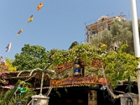 DSC 2381 ji : Bezirk Herceg Novi, Gemeinde Luštica, MNE, Montenegro, Rose