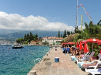 DSC 2384 ji : Bezirk Herceg Novi, Gemeinde Luštica, MNE, Montenegro, Rose