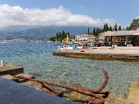 DSC 2390 ji : Bezirk Herceg Novi, Gemeinde Luštica, MNE, Montenegro, Rose