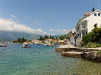 DSC 2393 ji : Bezirk Herceg Novi, Gemeinde Luštica, MNE, Montenegro, Rose