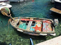 DSC 2394 ji : Bezirk Herceg Novi, Gemeinde Luštica, MNE, Montenegro, Rose
