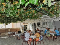 DSC 3600 ji : Bezirk Herceg Novi, Herceg Novi, Igalo, MNE, Montenegro, Quartier Obala Katic