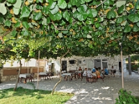 DSC 3601 ji : Bezirk Herceg Novi, Herceg Novi, Igalo, MNE, Montenegro, Quartier Obala Katic