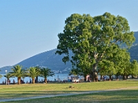 DSC 3748 ji : Bezirk Herceg Novi, Herceg Novi, Igalo, MNE, Montenegro, Sava Illica