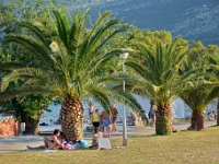 DSC 3753 ji : Bezirk Herceg Novi, Herceg Novi, Igalo, MNE, Montenegro, Promenade Nikole Kovacevica