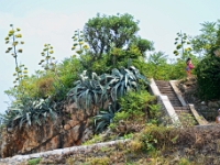 DSC 3998 ji : Bezirk Herceg Novi, Gemeinde Lustica, Insel Lastavica, Fort Mamula, MNE, Montenegro