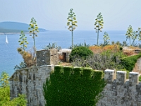 DSC 4051 ji : Bezirk Herceg Novi, Gemeinde Lustica, Insel Lastavica, Fort Mamula, MNE, Montenegro