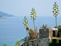 DSC 4064 ji : Bezirk Herceg Novi, Gemeinde Lustica, Insel Lastavica, Fort Mamula, MNE, Montenegro