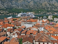 DSC 2656 ji : Bezirk Kotor, Fußweg zur Festung Sveti Ivan, MNE, Montenegro