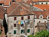 DSC 2658 ji : Bezirk Kotor, Fußweg zur Festung Sveti Ivan, MNE, Montenegro