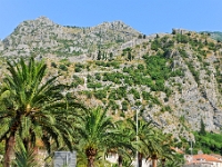 DSC 3063 ji : Bezirk Kotor, Kotor, MNE, Montenegro, Riva, vor dem Haupttor