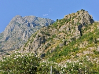 DSC 3549 ji : Bezirk Kotor, Kotor, MNE, Montenegro, Skaljari