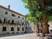 DSC 2870 ji : Bezirk Kotor, Kotor, Stari Grad, Pjaca Gospe od Anđela, MNE, Montenegro
