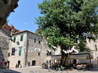 DSC 2874 ji : Bezirk Kotor, Kotor, Stari Grad, Pjaca Gospe od Anđela, MNE, Montenegro