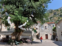 DSC 2876 ji : Bezirk Kotor, Kotor, Stari Grad, Pjaca Gospe od Anđela, MNE, Montenegro