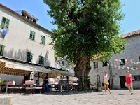 DSC 2882 ji : Bezirk Kotor, Kotor, Stari Grad, Pjaca Gospe od Anđela, MNE, Montenegro
