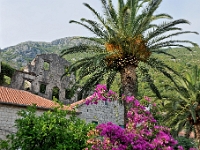 DSC 3086 ji : Bezirk Kotor, MNE, Montenegro, Perast, Promenade Kapitän Marko Martinović