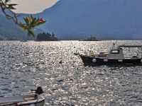 Perast
