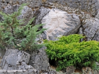 DSC 1841 ji : Bedem, Osmanische Festung, Bezirk Niksic, MNE, Montenegro, Niksic