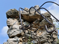 DSC 1913 ji : Bedem, Osmanische Festung, Bezirk Niksic, MNE, Montenegro, Niksic