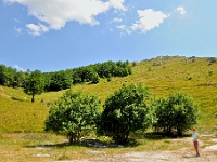 DSC 3711 ji : Bezirk Savnik, Bundesstraße M-6 Niksic-Savnik, MNE, Montenegro