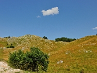DSC 3712 ji : Bezirk Savnik, Bundesstraße M-6 Niksic-Savnik, MNE, Montenegro