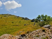 DSC 3715 ji : Bezirk Savnik, Bundesstraße M-6 Niksic-Savnik, MNE, Montenegro
