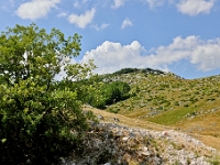 DSC 3730 ji : Bezirk Savnik, Bundesstraße M-6 Niksic-Savnik, MNE, Montenegro