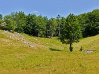 DSC 3731 ji : Bezirk Savnik, Bundesstraße M-6 Niksic-Savnik, MNE, Montenegro