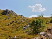 DSC 3736 ji : Bezirk Savnik, Bundesstraße M-6 Niksic-Savnik, MNE, Montenegro