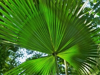 P8121736 ji : ITA, Italien, Veneto