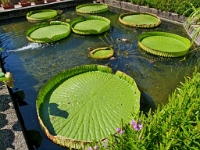 P8121743 ji : ITA, Italien, Veneto