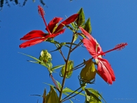 P8121745 ji : ITA, Italien, Veneto