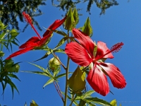 P8121750 ji : ITA, Italien, Veneto