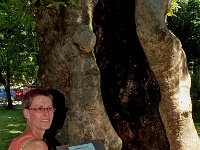 P8121761 ji : ITA, Italien, Veneto