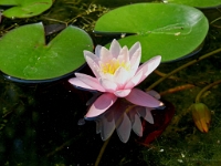 P8121771 ji : ITA, Italien, Veneto