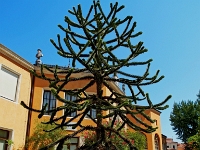 P8121776 ji : ITA, Italien, Veneto