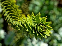 P8121778 ji : ITA, Italien, Veneto